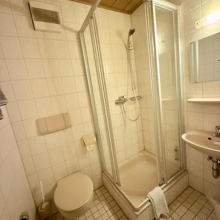 Wilder Mann Westhausen (Ostalb)